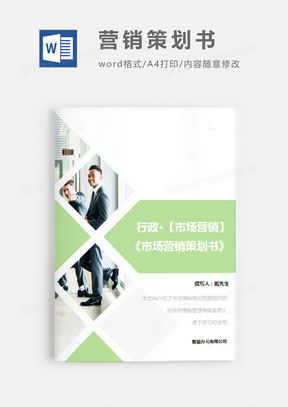 專業市場營銷策劃方案制作指南 模板獲取與核心要素解析